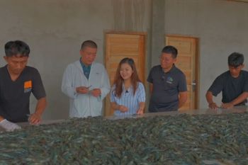 Berawal dari Tambak Udang Menuju Harapan Baru: Jejak Kerja Sama Ekonomi Biru Tiongkok-Indonesia