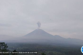 Gunung Semeru empat kali erupsi pada Kamis