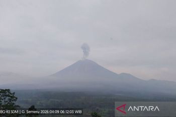 Gunung Semeru empat kali erupsi pada Kamis