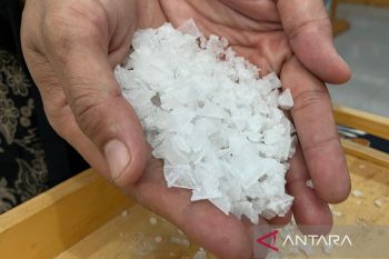 Pemkab Cirebon merancang program inkubator bisnis berbasis TI bantu UMKM