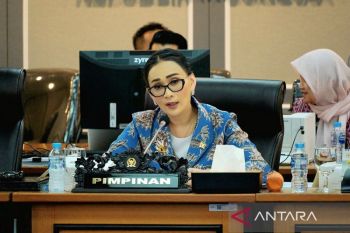 RI-Japan cooperation strengthens regional stability: House member