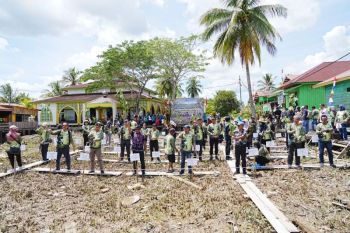 Bernilai Ekonomi dan Alam Lestari, Kaltara Konsisten Tanam Mangrove
