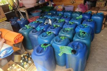 Polres Poso ungkap dugaan penyalahgunaan BBM subsidi