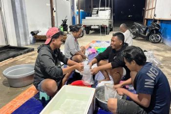 Pemkab Berau dan YKAN penuhi benih udang lewat pelibatan siswa SMK