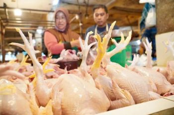 Minggu pagi, harga daging ayam Rp41.500/kg, cabai rawit Rp83.100/kg