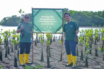 Investasi Hijau Bank BSN, Ribuan Mangrove Ditanam di Teluk Benoa