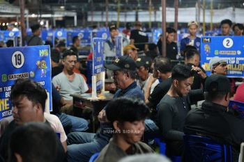 3.000 peserta dari sejumlah provinsi ikuti turnamen domino di Sidrap