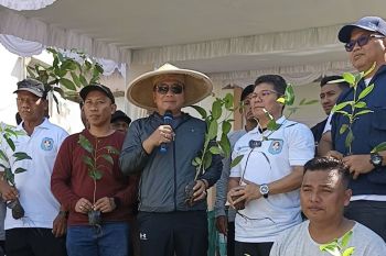 Rumah Plt Sekretaris Golkar Papua diteror bom 
