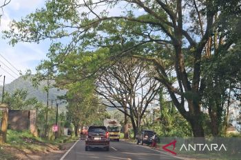 Puncak-Haurwangi Rawan Pohon Tumbang, Polisi Pasang Rambu Peringatan!