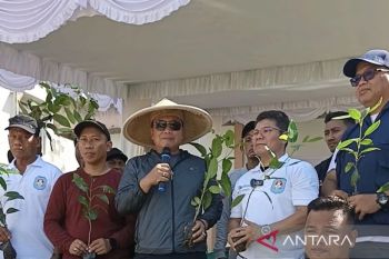 ANTARA Menanam di Kubu Raya wujudkan kelestarian lingkungan
