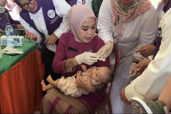 Padang Pariaman Transformasi Posyandu Jadi Pusat Layanan Terpadu Enam Bidang