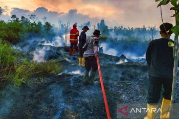 Perjuangan padamkan karhutla di perbatasan yang sunyi