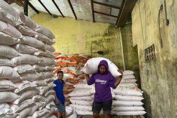 Penyaluran pupuk subsidi di Sulsel mencapai 170.000 ton pada triwulan I 2026