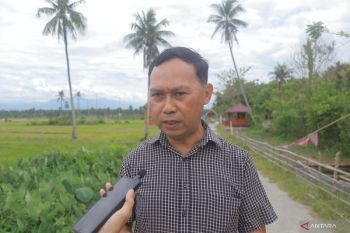 Disperkim-Sigi pastikan anggaran RTLH 2026 tetap tersedia