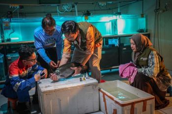 Pertamina Perkuat Pondasi Ekonomi Warga Sekitar Sungai Musi Lewat Program Belida Musi Lestari