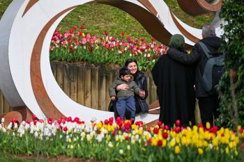 Mengunjungi festival bunga tulip di Istanbul, Turki