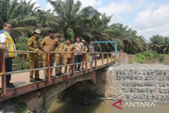 Bangka Tengah bangun jembatan perlancar distribusi hasil pertanian