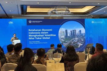 Indonesia maintains healthy debt ratio amidst global pressure