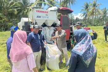 Ekspor Kakao Sulteng Terus Merosot 