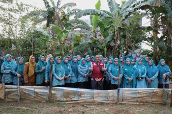 PKK Makassar bekali kader tata kelola kebun dan halaman produktif