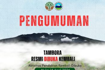 Diskominfo Mataram sebut retribusi Menara Telekomunikasi capai Rp728 juta