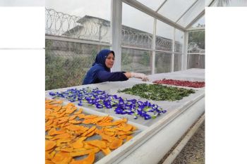 Pertamina EP Field Adera ajak warga Pengabuan hidup sehat dari kebun sendiri