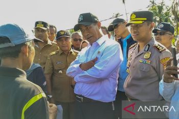 Mentan tegaskan Sumbar harus cepat tangani lahan terdampak bencana