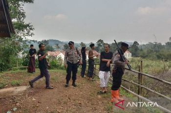 Mengerikan! Bocah 5 Tahun di Cianjur Diserang Monyet Liar, Luka 35 Jahitan