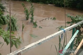 HST Kalsel kembali "baah"