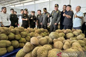 Barantin tinjau persiapan ekspor durian dari Palu ke Tiongkok