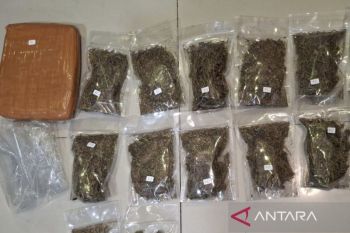 Polda Metro Jaya tangkap seorang pelaku pengedar ganja seberat 6,2 kilogram di Depok