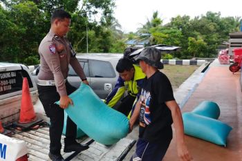 Bulog serap jagung pipil petani Kabupaten Gunung Mas