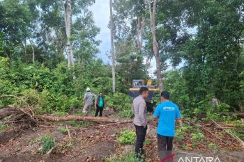 Polisi temukan aktivitas tambang timah ilegal di kawasan hutan produksi Bangka Selatan