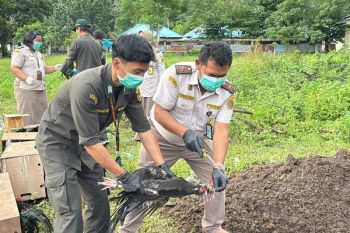 Kemenag dan Polres Bolsel tumbuhkan bakat siswa melalui MCP