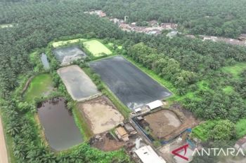 PTPN IV andalkan dua PLTBg di Riau tekan ketergantungan energi fosil