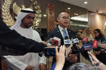 Indonesia-UAE boost renewable energy cooperation as ties mark 50 years