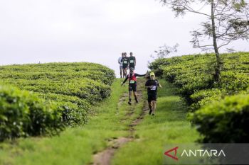 Running Summit 2026 dorong Pangalengan jadi Kampung Pelari Indonesia