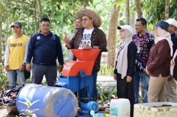 Kemenhut apresiasi Kalsel konservasi tanaman endemik di hutan tropis
