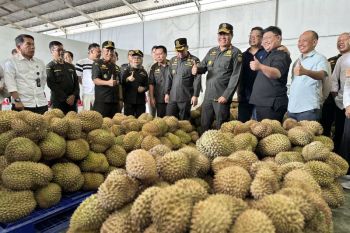 Badan Karantina Indonesia tinjau persiapan ekspor durian dari Palu ke Tiongkok