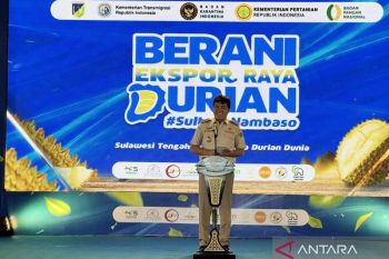 Nilai pasar durian Sulteng di ekspor raya Rp42,5 miliar