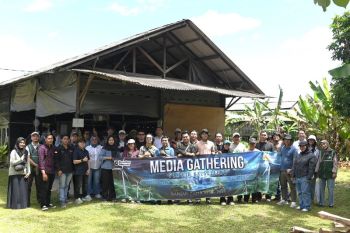 Program PLN Peduli dukung pengembangan petani jamur di Banjarbaru