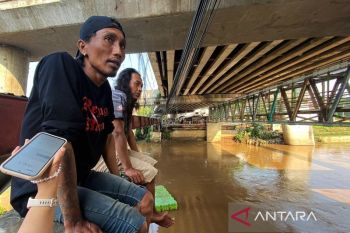 Berapa pendapatan nelayan ikan sapu-sapu di Ciliwung?