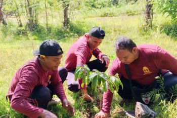 IAHN Mpu Kuturan tanam pohon dukung gerakan ekoteologi