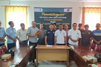 Koperasi KL 2 Sekoban-Lamandau sambut baik pembangunan kebun kemitraan