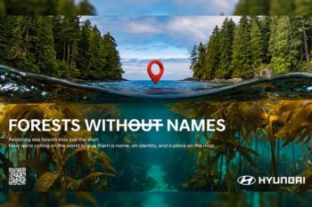 Forests Without Names: Hyundai Motor Brings the World's Hidden Sea Forests Into the Light