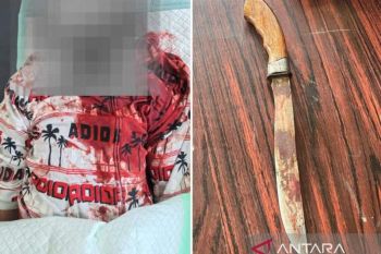 Polres Jayawijaya dalami kasus penikaman di Pasar Jibama Wamena