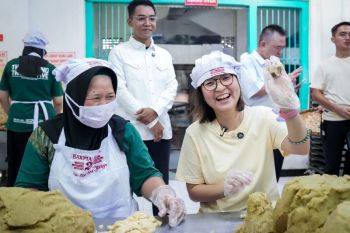 Wamenekraf dorong penguatan IP lokal hadapi perkembangan zaman