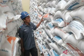 Serapan beras Bulog Madiun kuartal I 2026 capai 27.677 ton