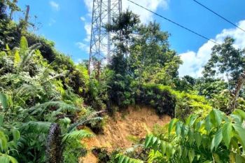 Bupati Barut instruksikan penanganan tower Sikui terancam longsor