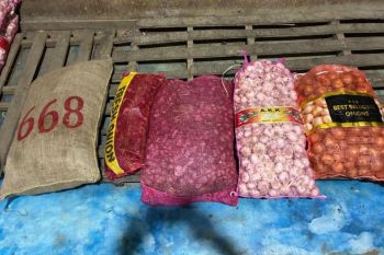 Satgas Gakkum Penyelundupan Polri bongkar impor ilegal bawang-cabai